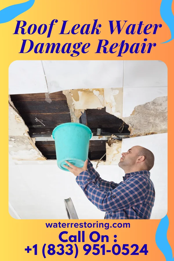Roof Leak Water Damage Repair in Hamilton Branch, CA
